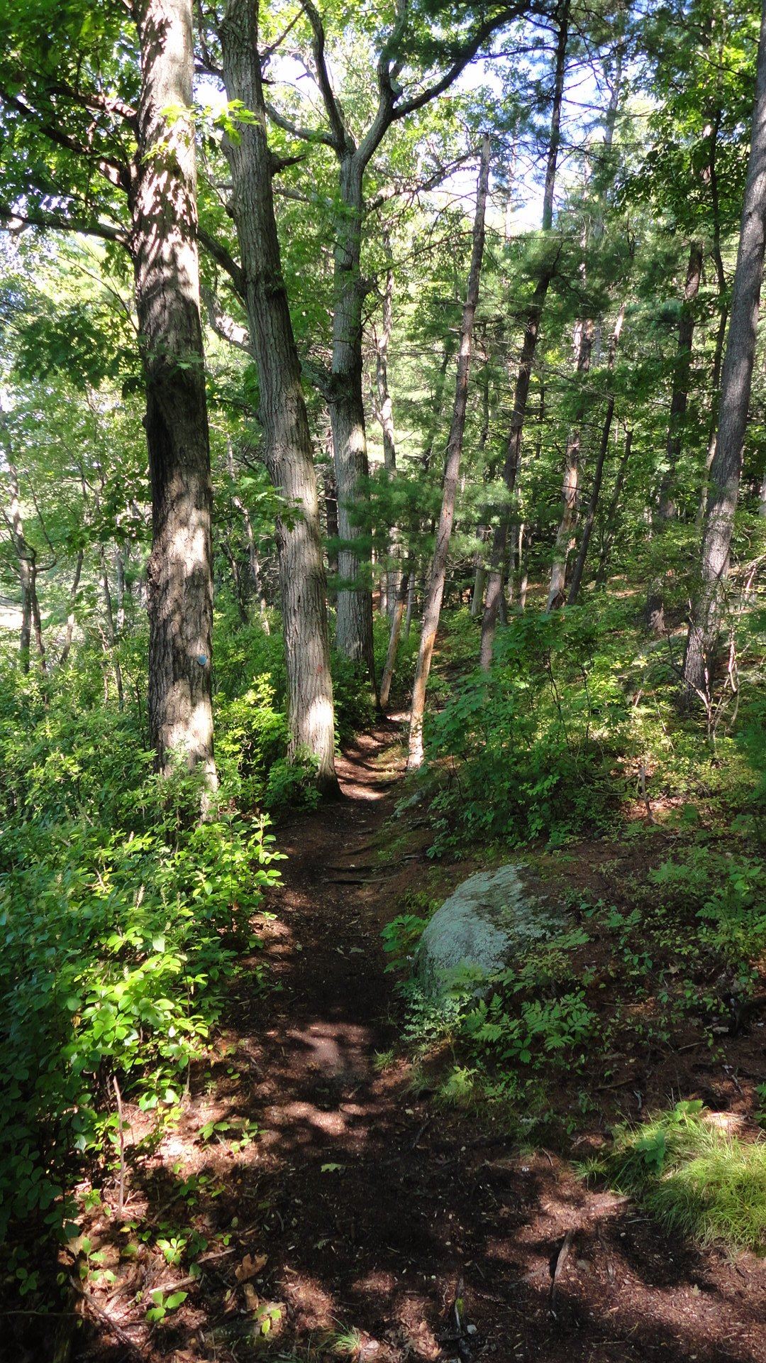 Throughout the year, protected areas in Bedford display a variety of landscapes, habitats, plant communities and wildlife.