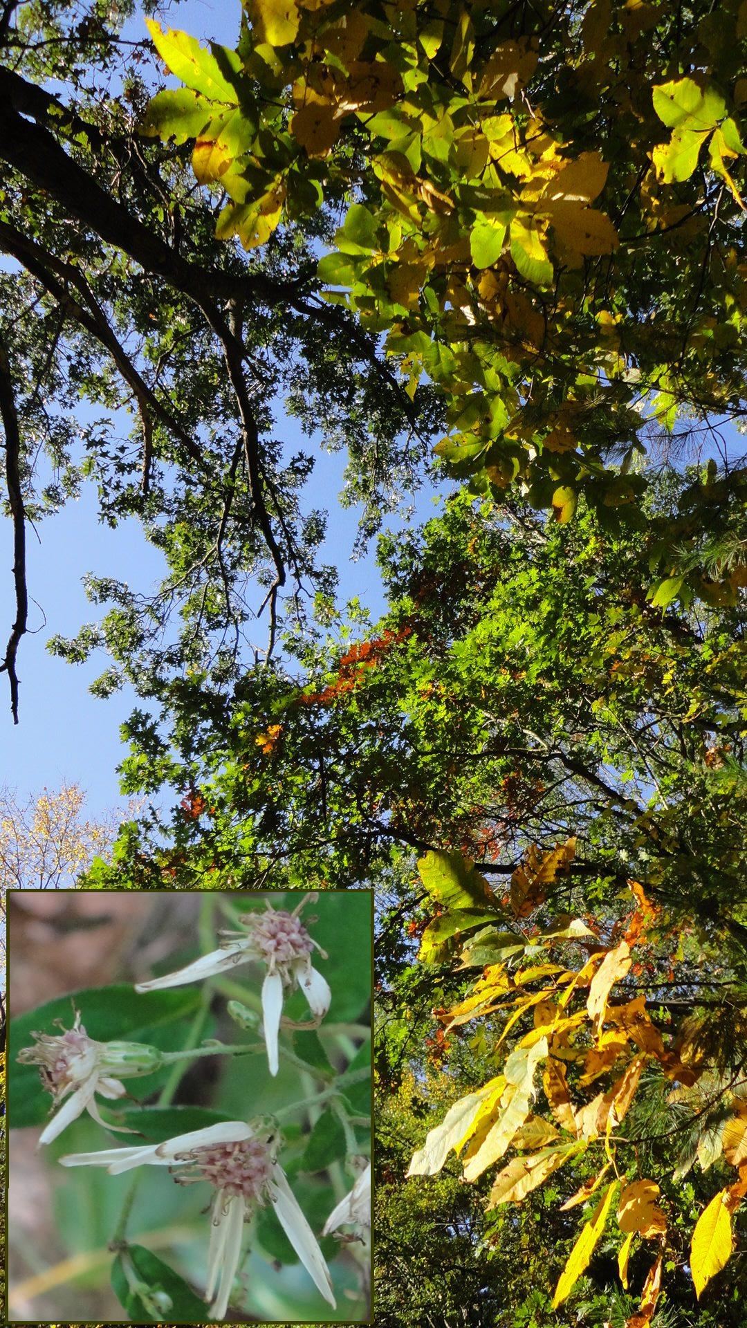 Wilson Mill Park is a surprisingly natural and historic area at the end of Old Burlington Road near Route 3.