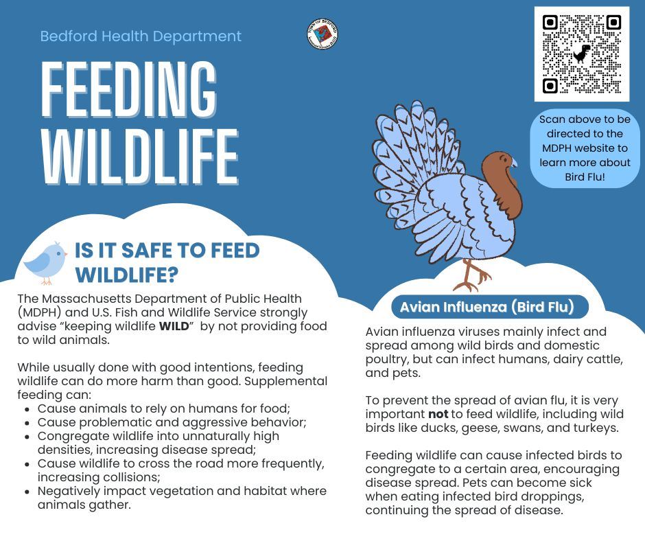 Bedford Public Health Week (3)